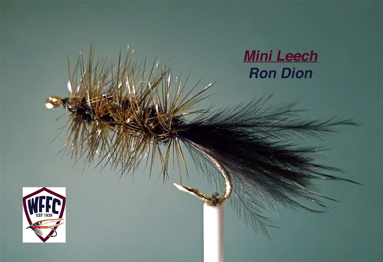 Mini Leech