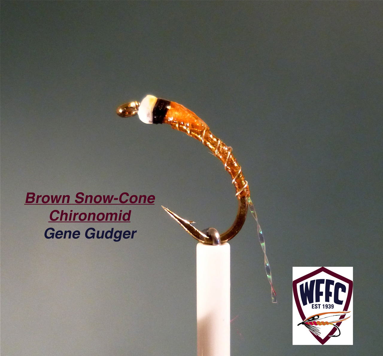 Brown Snow-Cone Chironomid