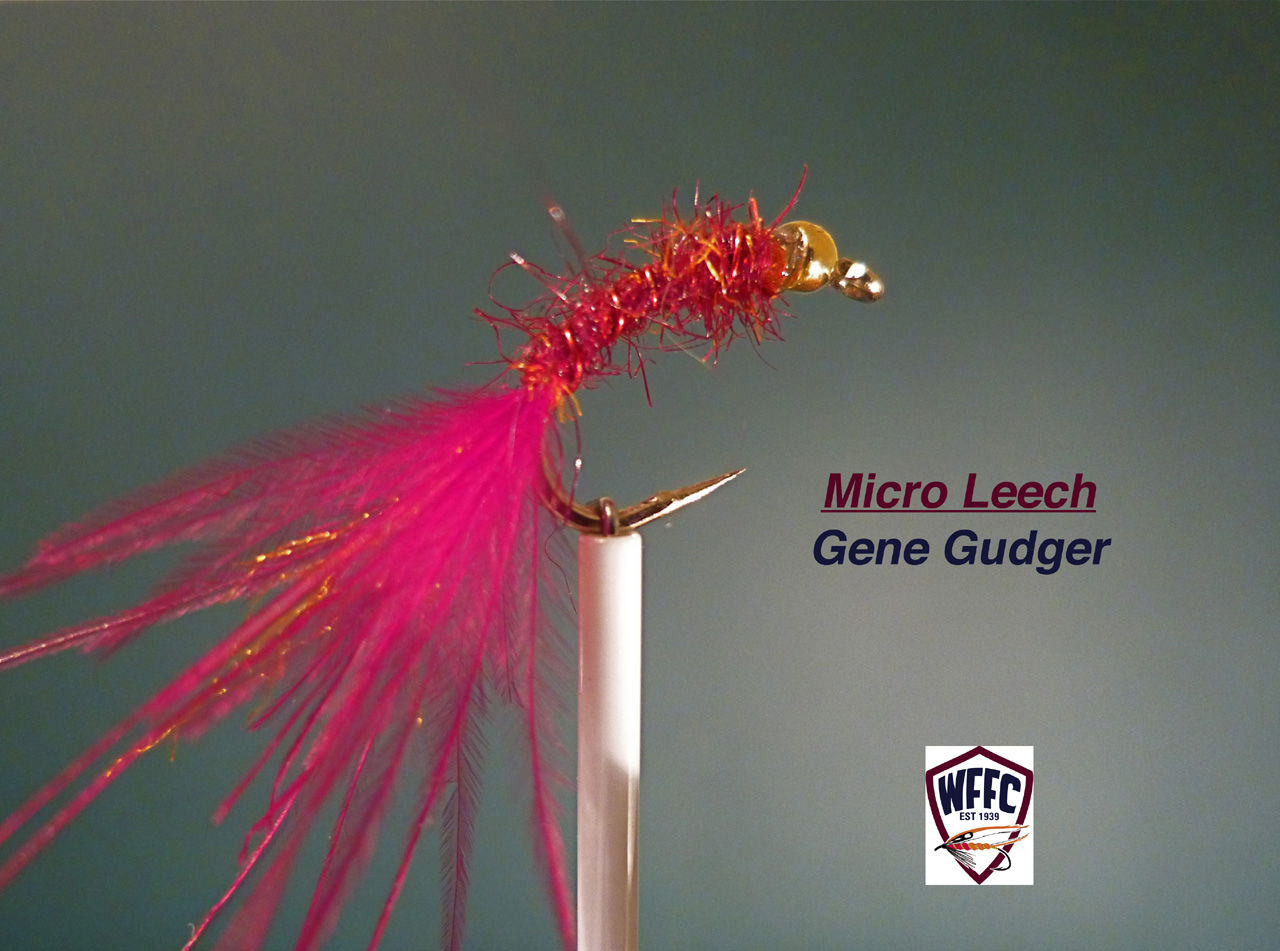 Micro Leech