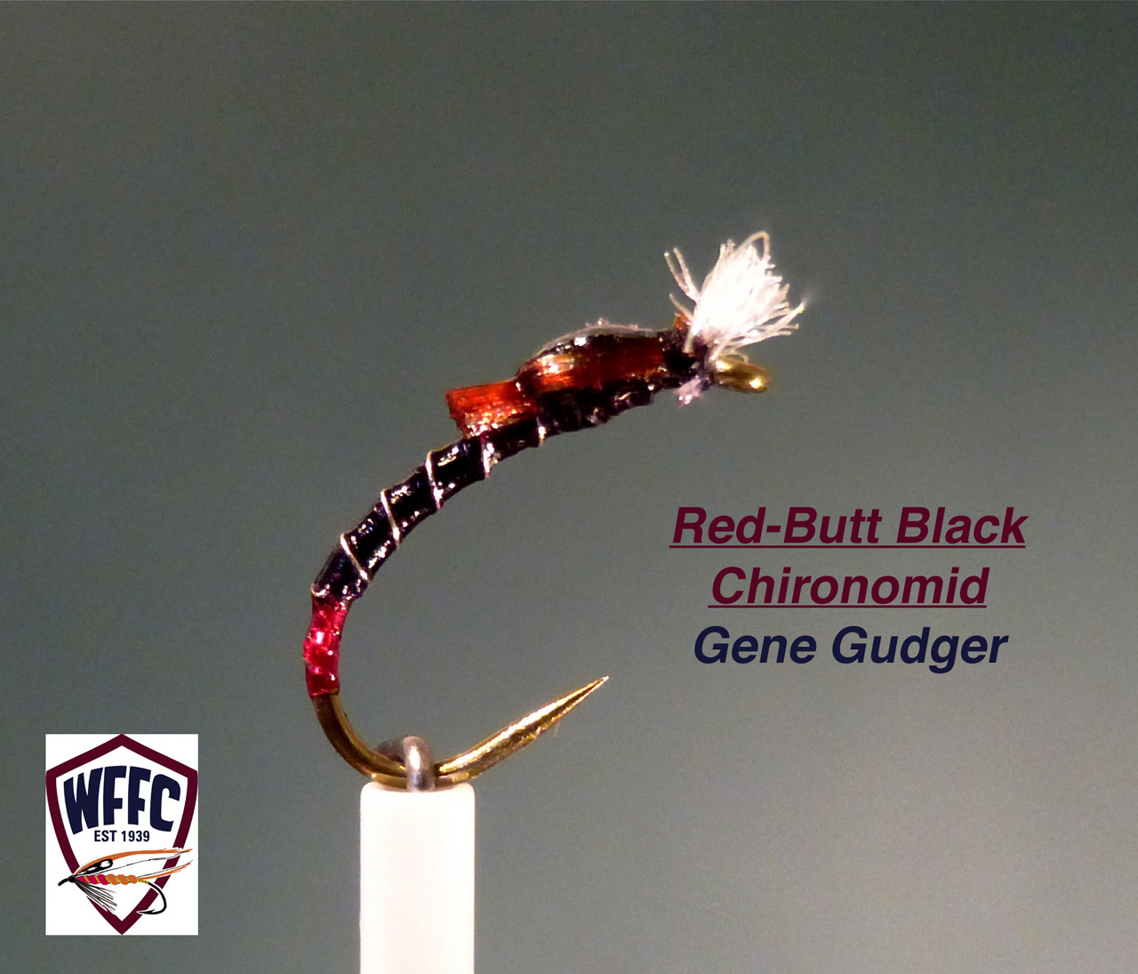 Red-Butt Black Chironomid