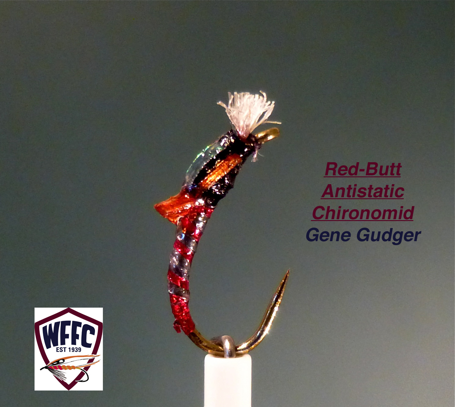 Red-Butt Antistatic Chironomid