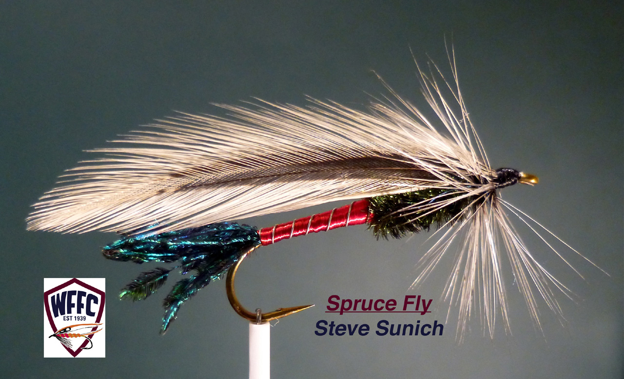 Spruce Fly